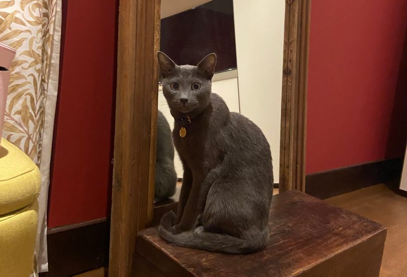 Raphael sitting by the mirror