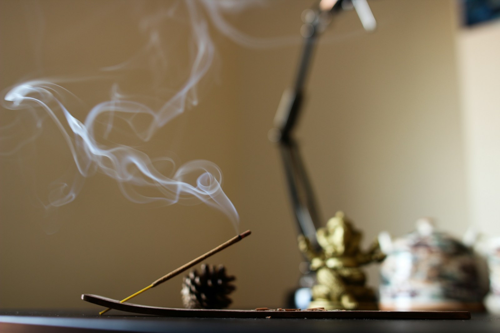 How to Safely Burn Incense Around Cats: 3 Vet-Approved Tips