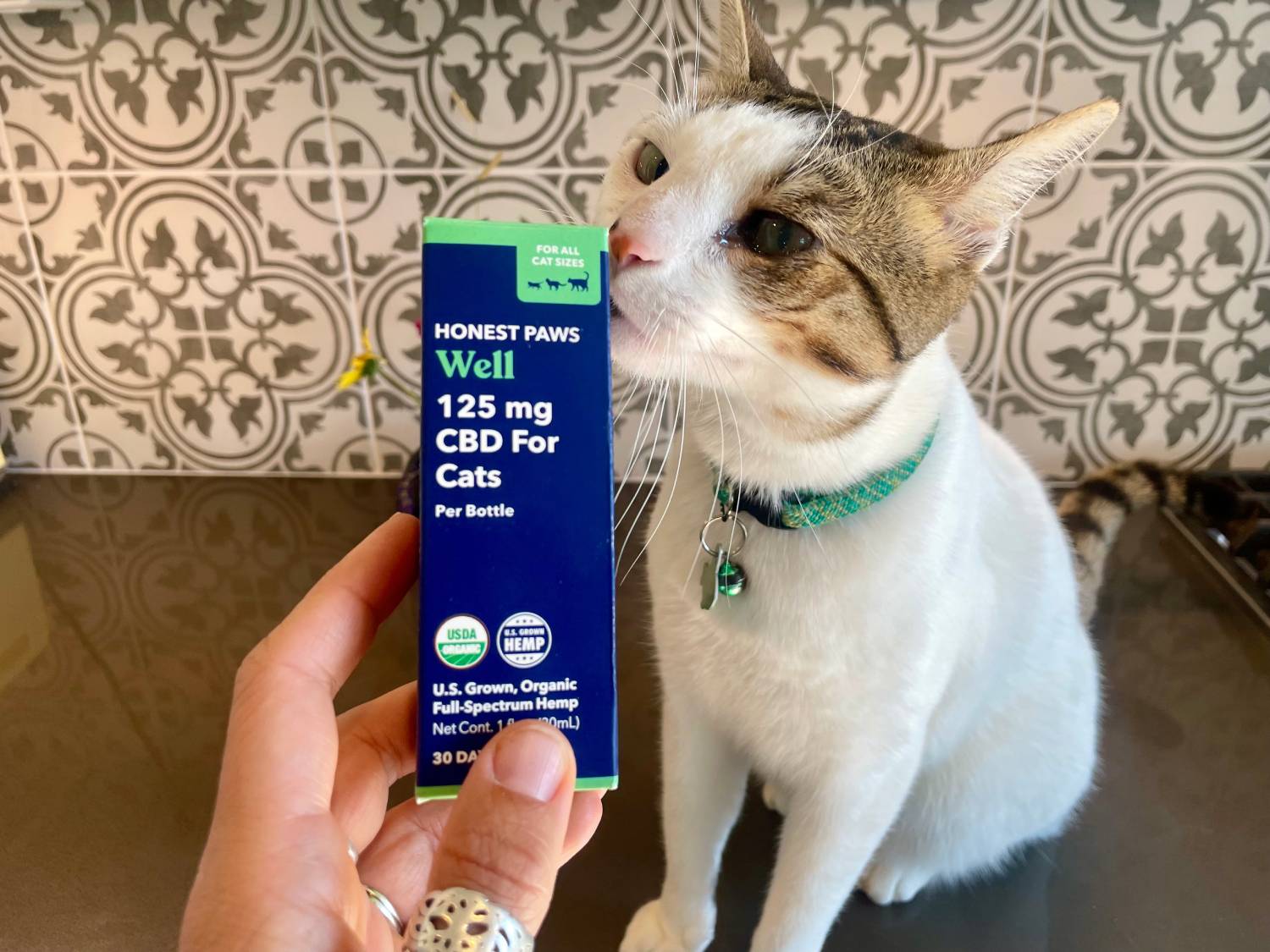 Honest Paws Well CBD Oil Tincture for Cats Review - cat kissing product box