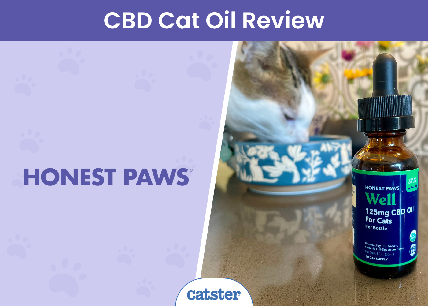 Honest Paws Well CBD Oil Tincture for Cats Review 2026: What Our Tests Revealed