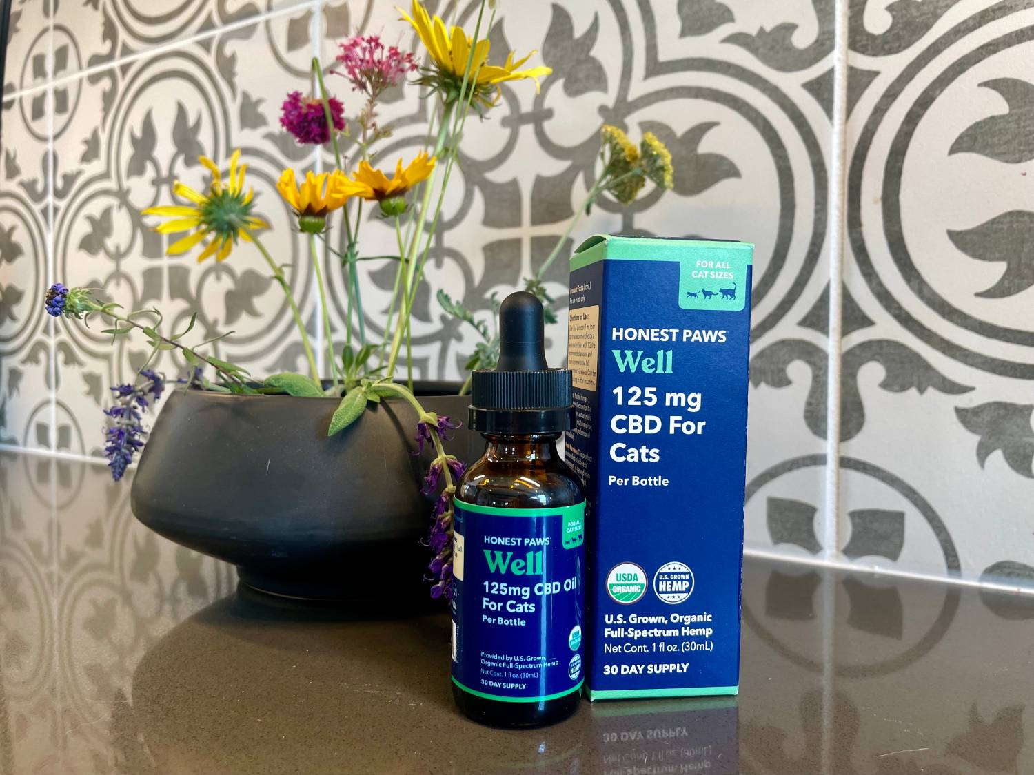 Honest Paws Well CBD Oil Tincture for Cats Review - the product with plant in the background