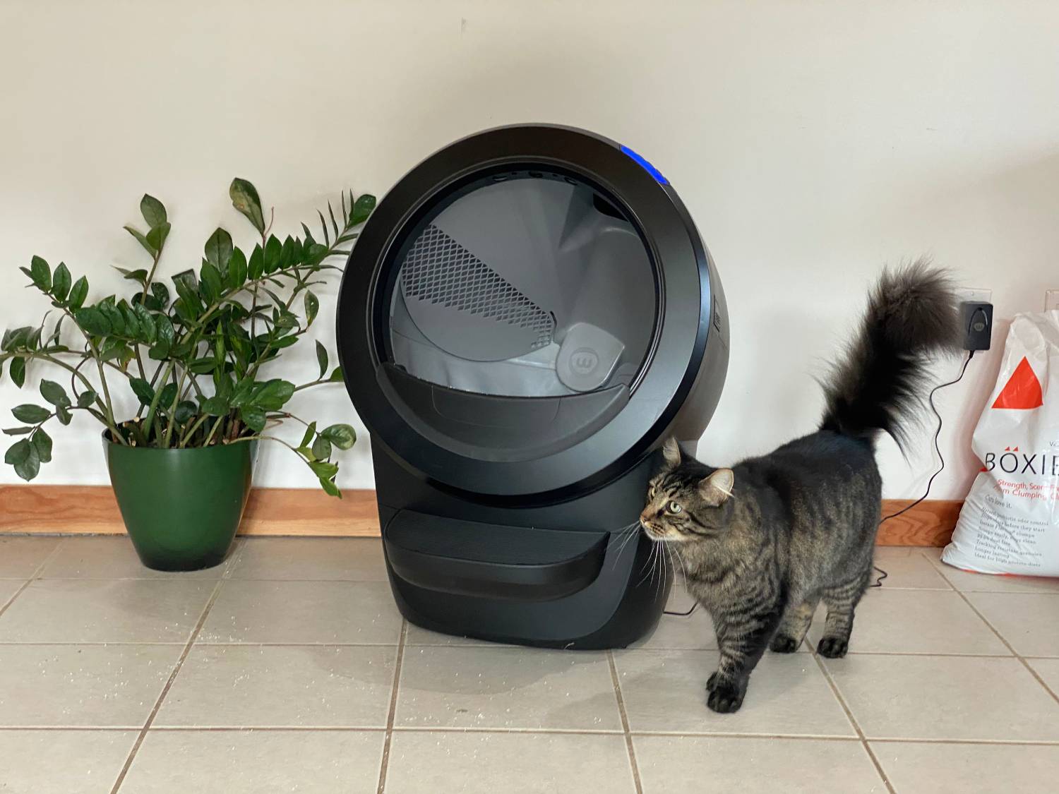 Litter Robot 4 Review - cat with product