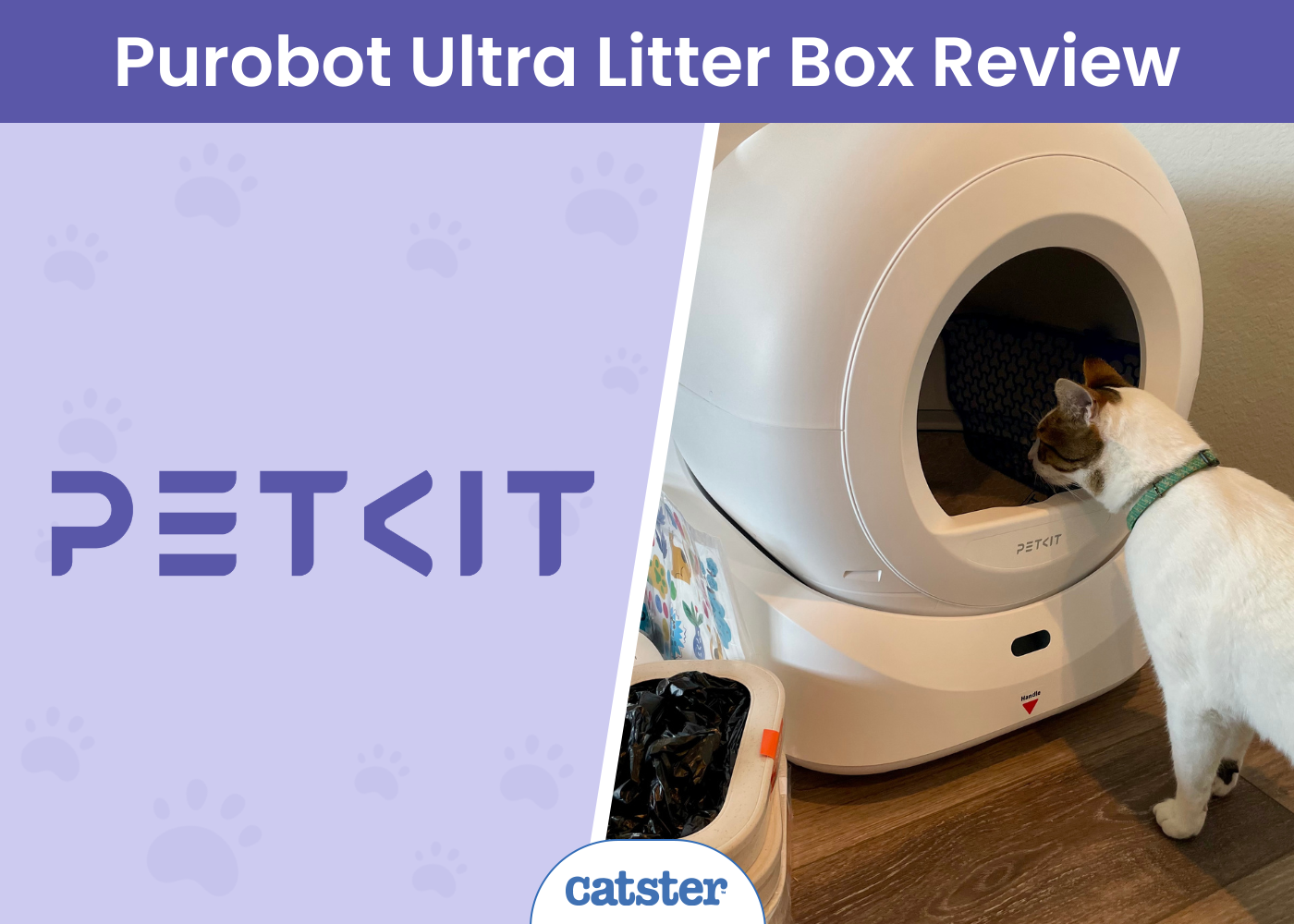 PETKIT Purobot Ultra Litter Box Review 2026: Our Hands-On Test