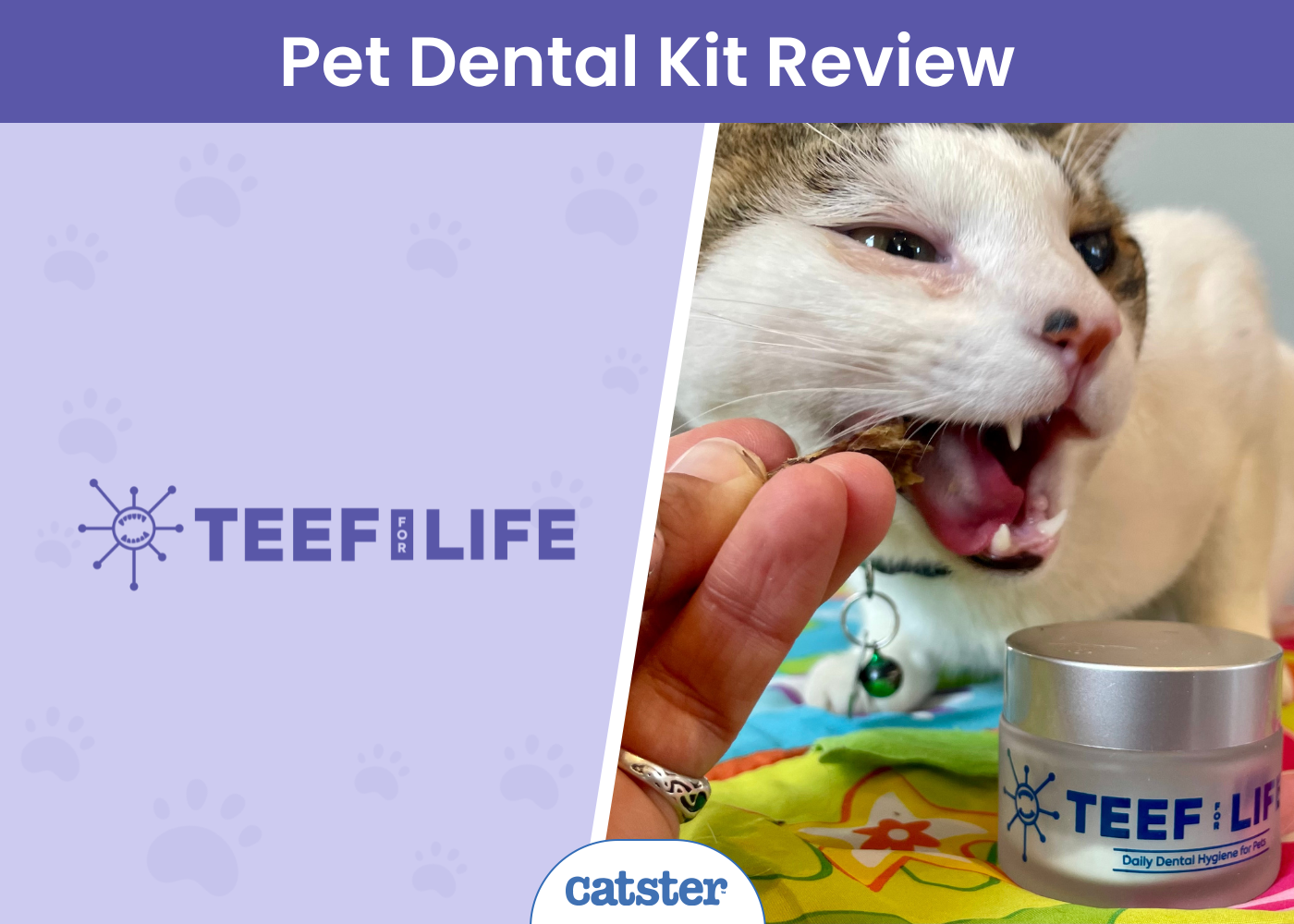 TEEF for Life Protektin30™ Review 2026: Our Hands-On Experience