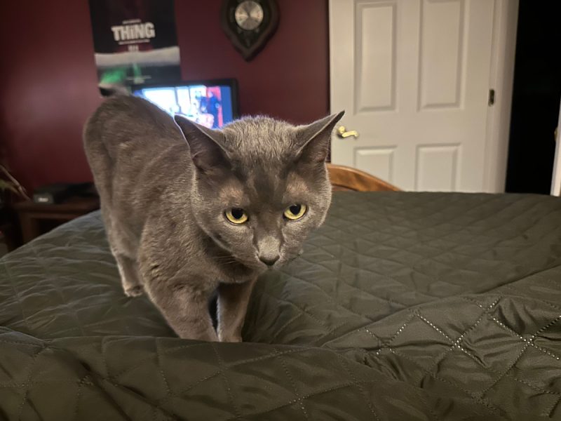 Turn the television off! It's past your bedtime.