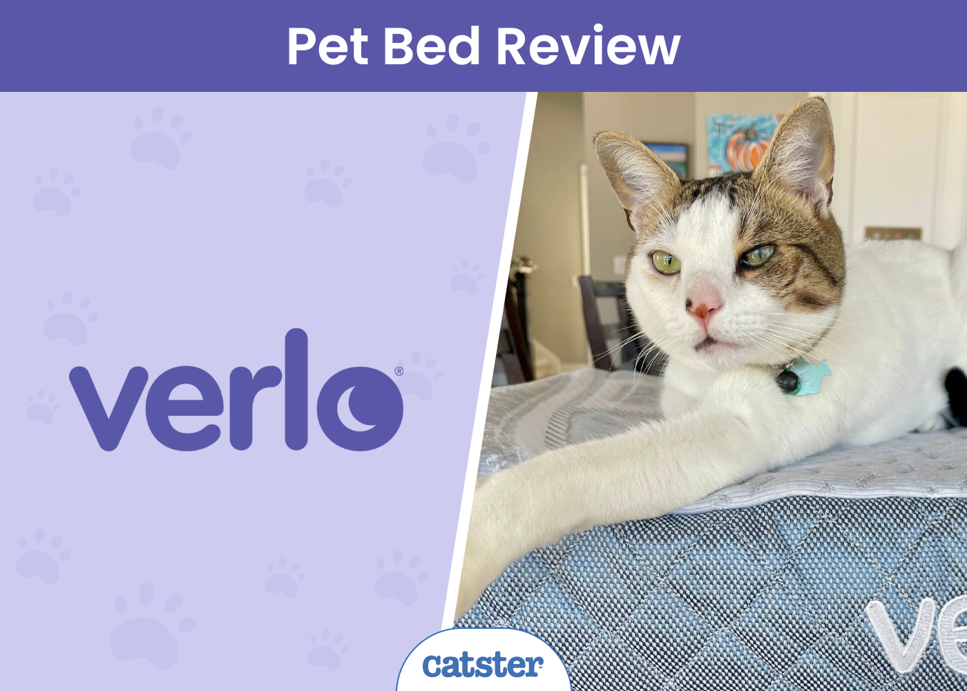 Verlo Pet Beds Review 2026: My Cat’s Paws-On Review