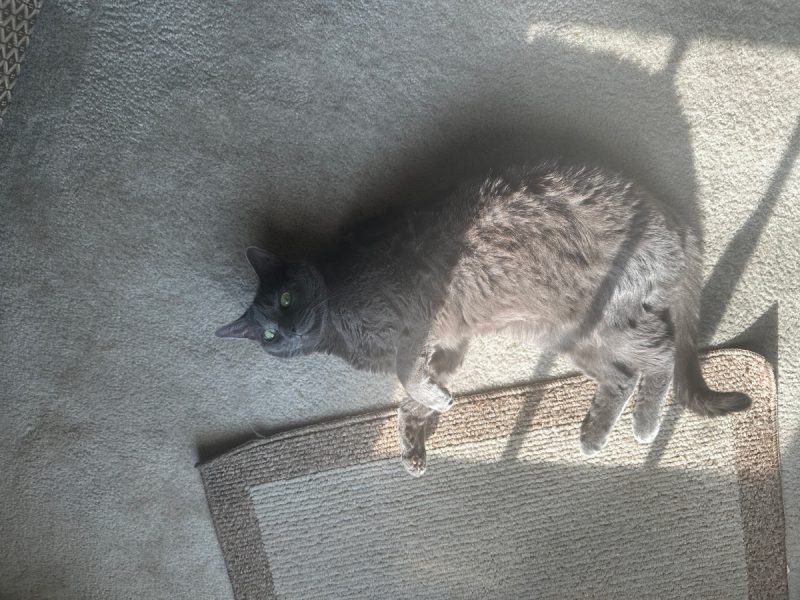 With so many social engagements, I relish the times I can relax on the floor.