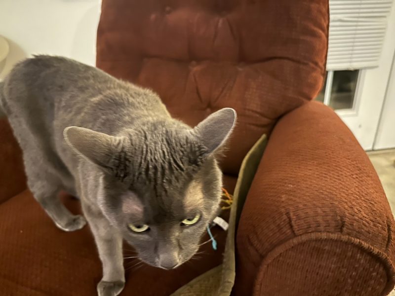 Yes, I'm giving you the evil eye!