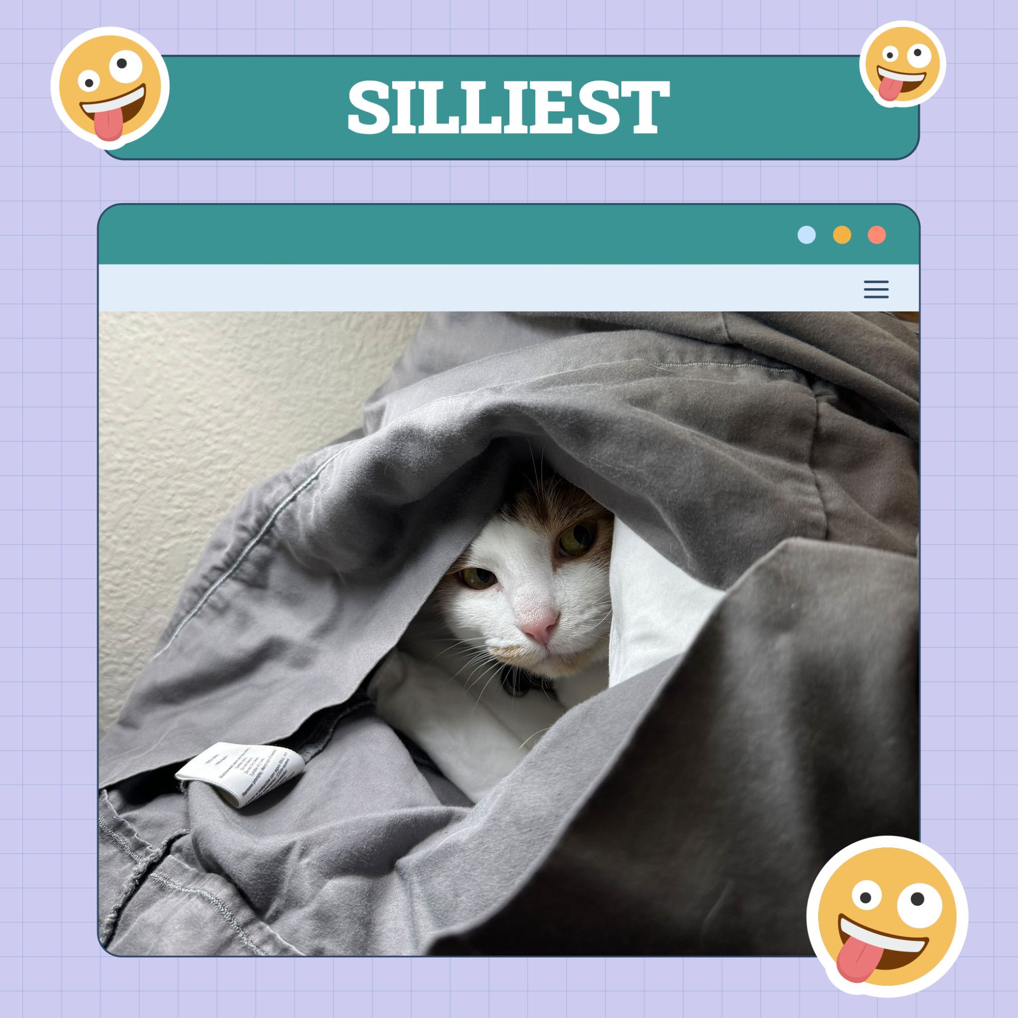 cleo_silliest