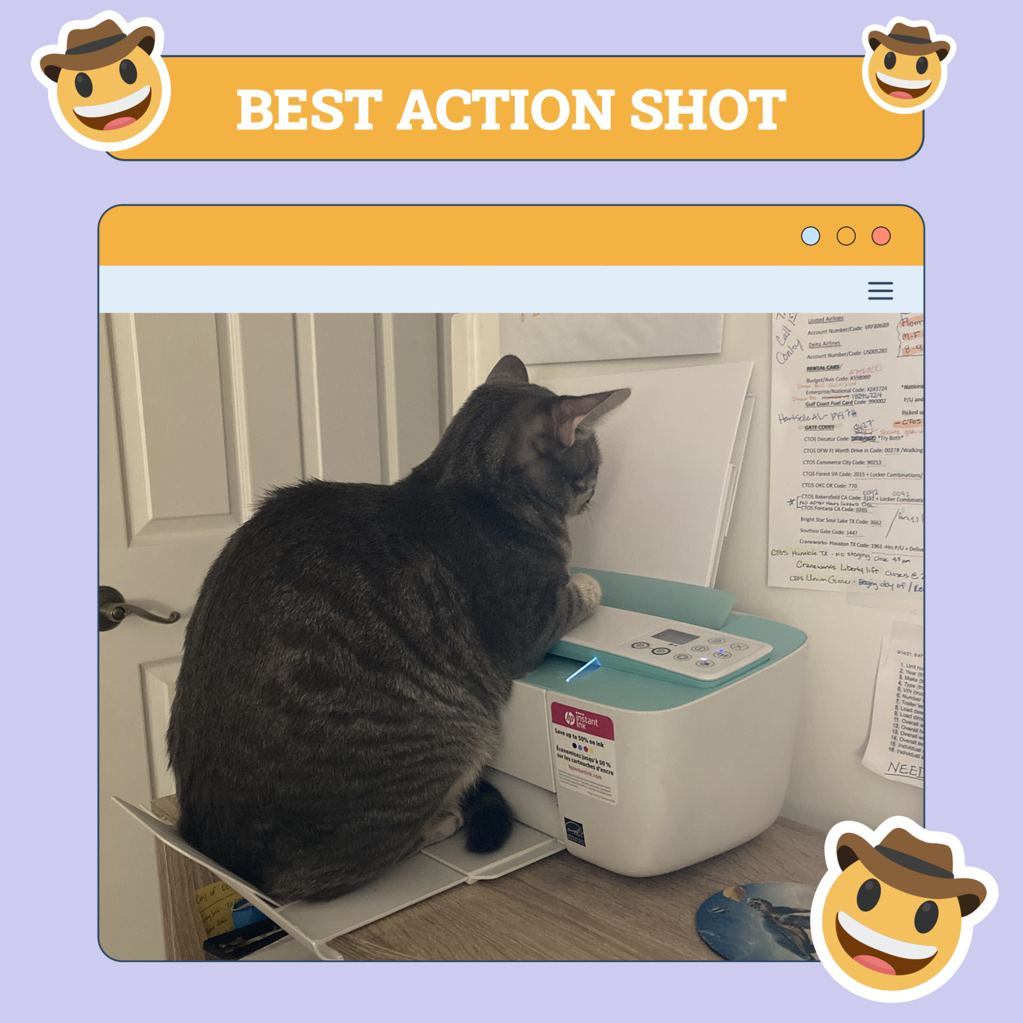 Best Action Shot