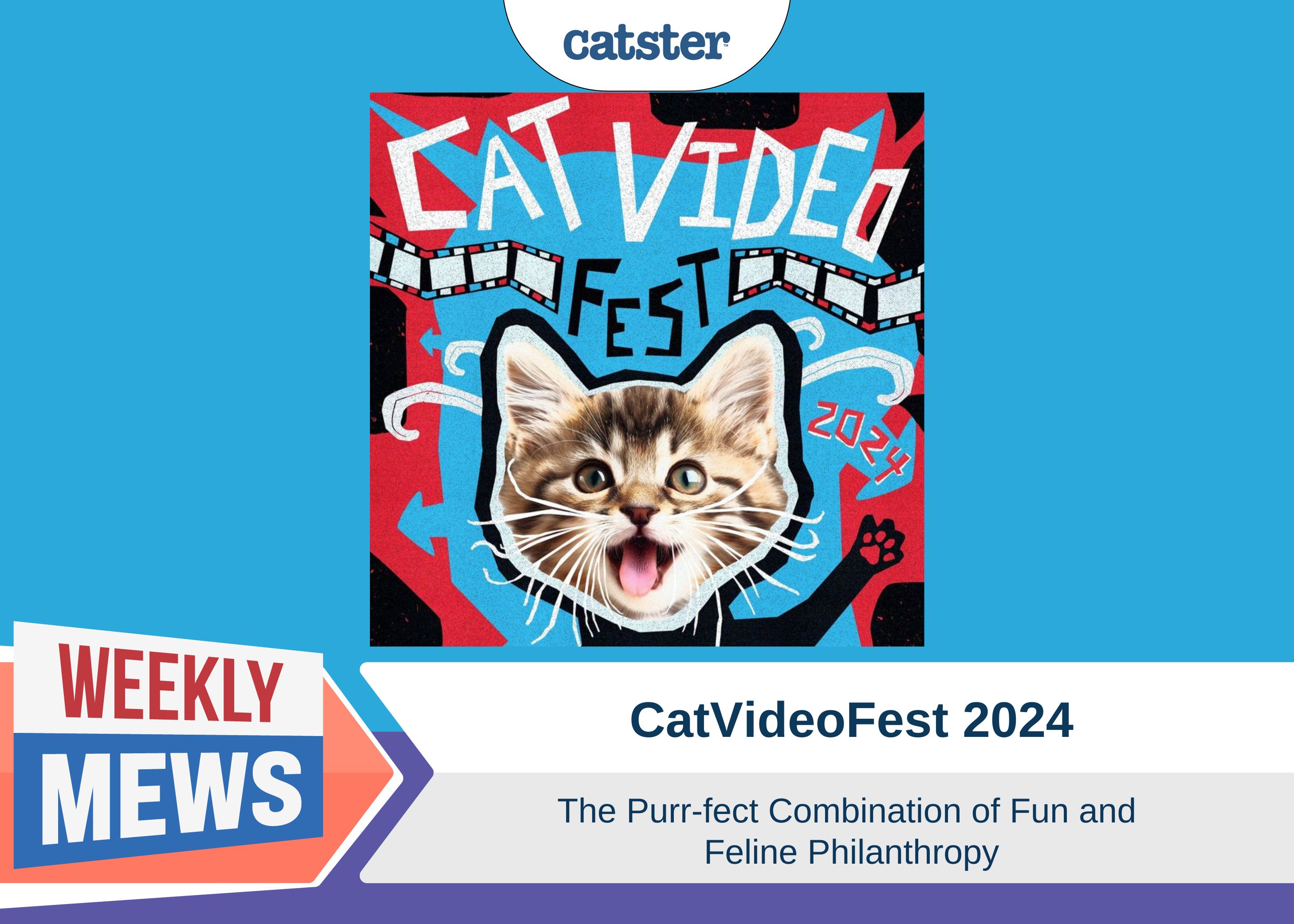 CatVideoFest: The Purr-fect Combination of Fun and Feline Philanthropy