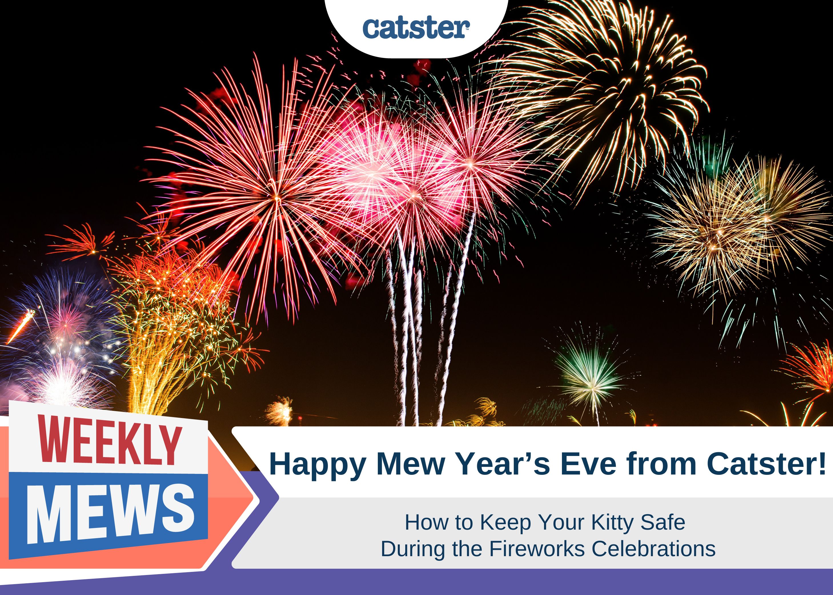 Happy Mew Year's Eve From Catster! Keeping Your Kitty Safe During the Fireworks