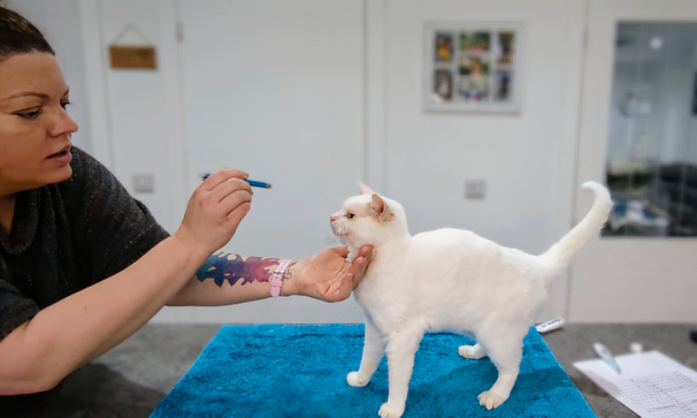 How to Do A Health Check At Home: Dr. Karyn's Guide (with Video)