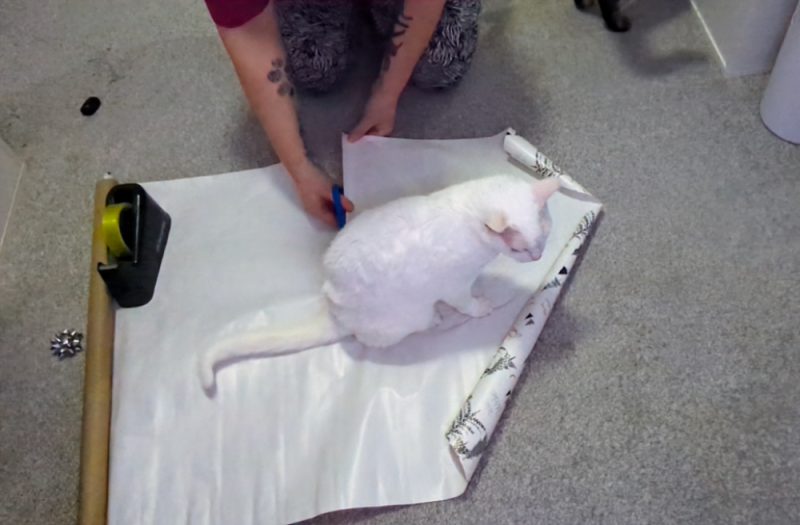 Getting the measurements right