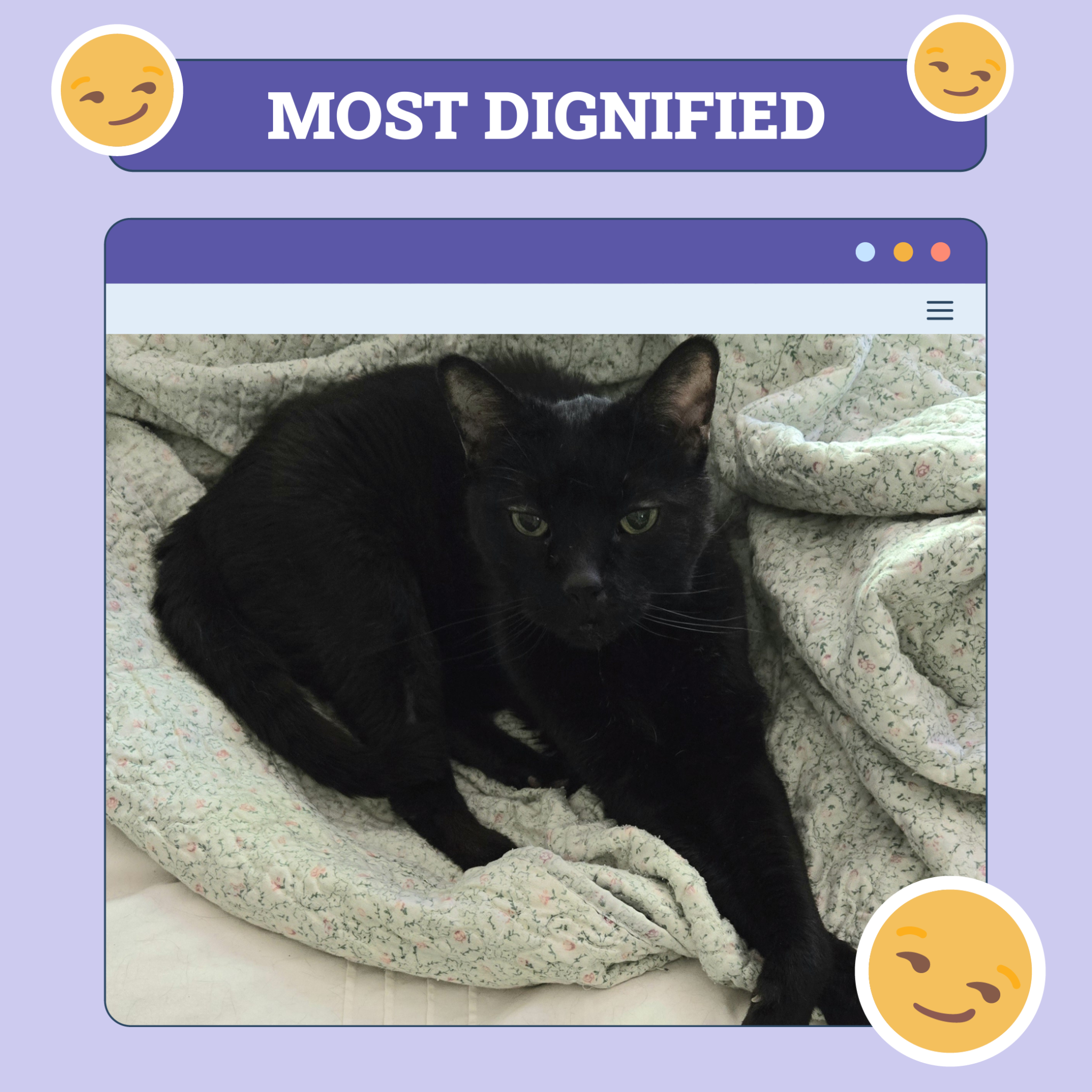 Most Dignified