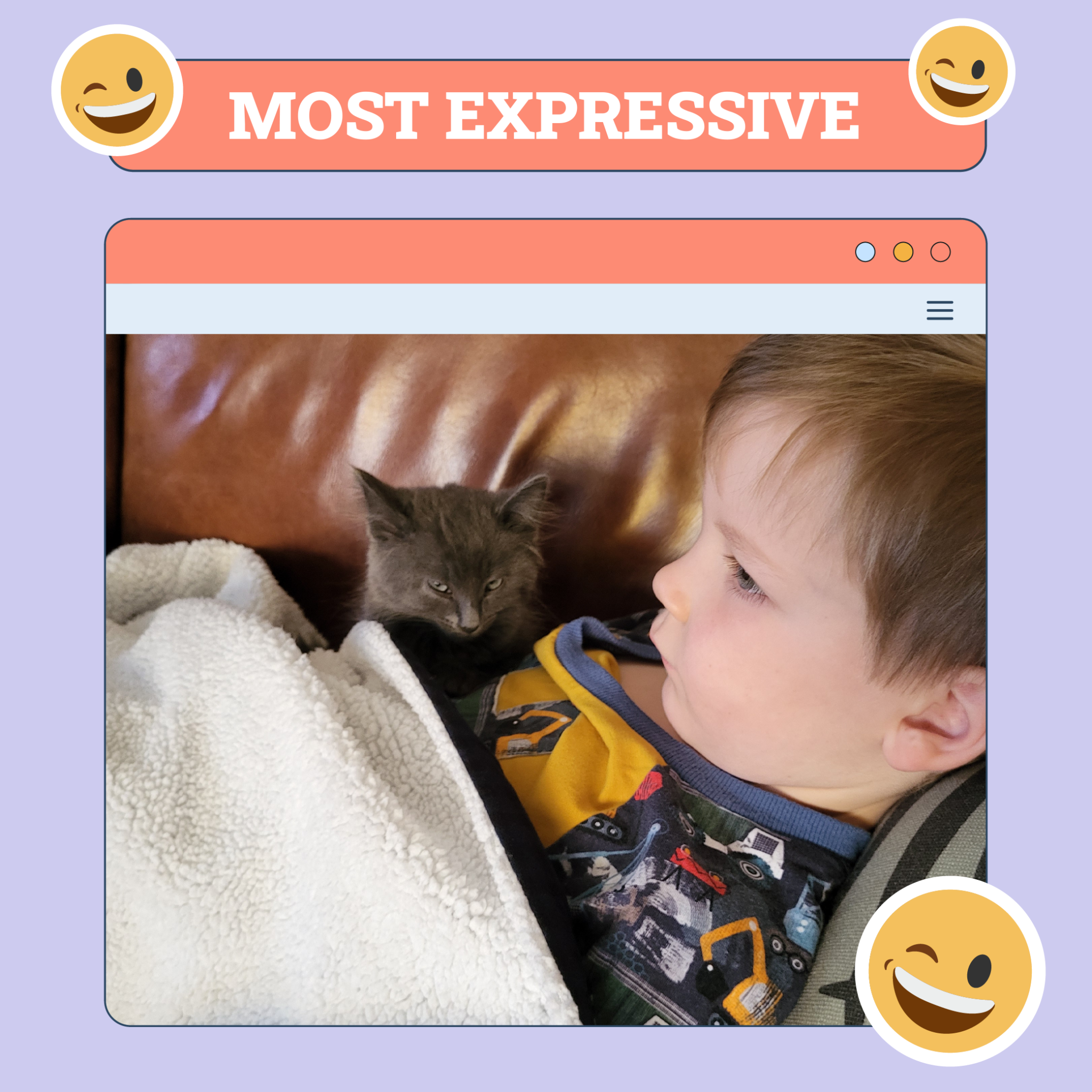 Most Expressive Cat Winner of the Week
