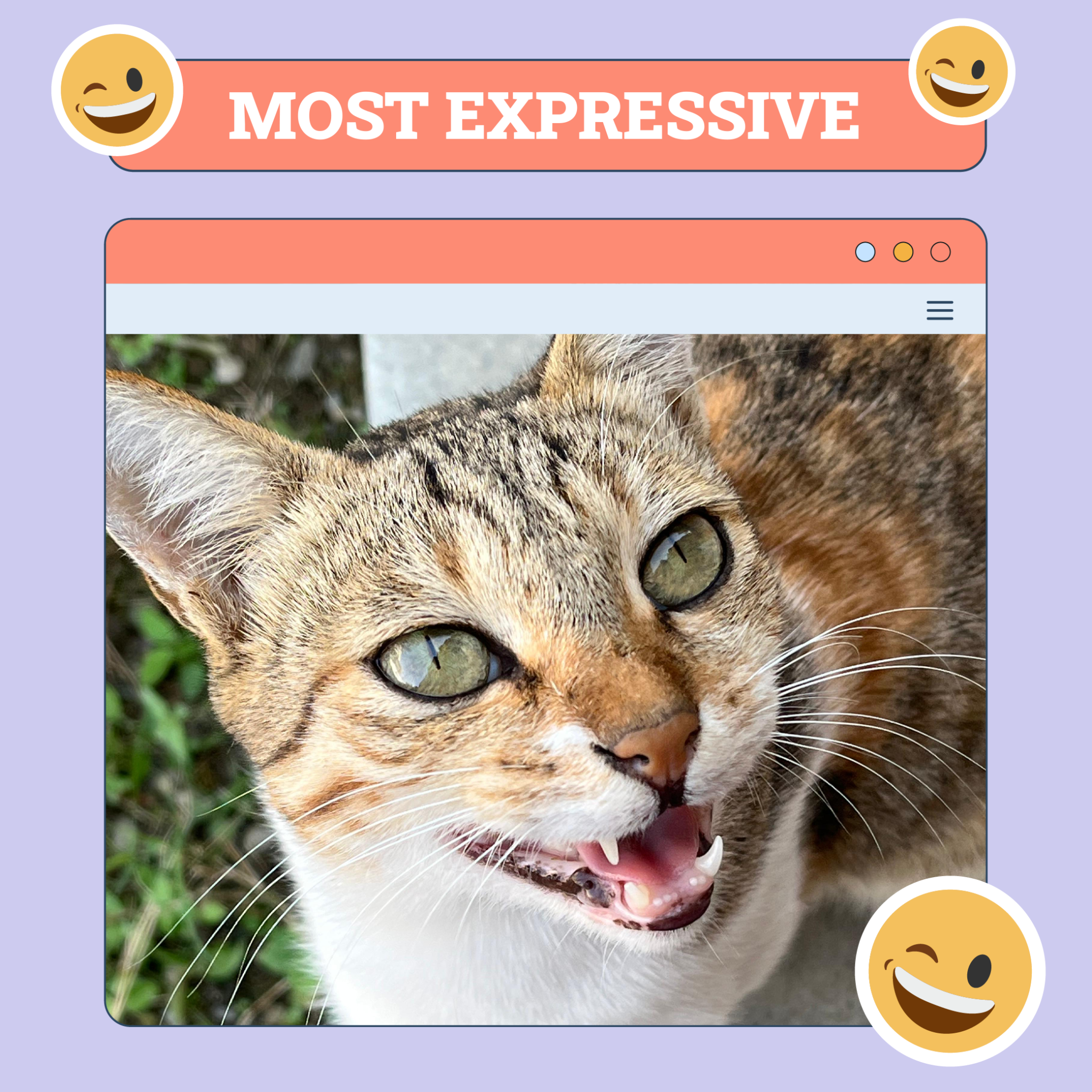 Most Expressive