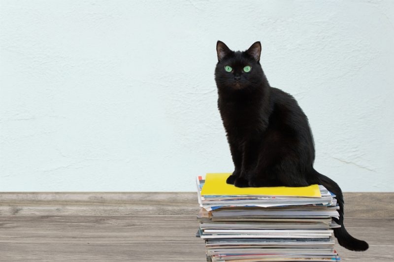 black cat sititng on a stack of magazines