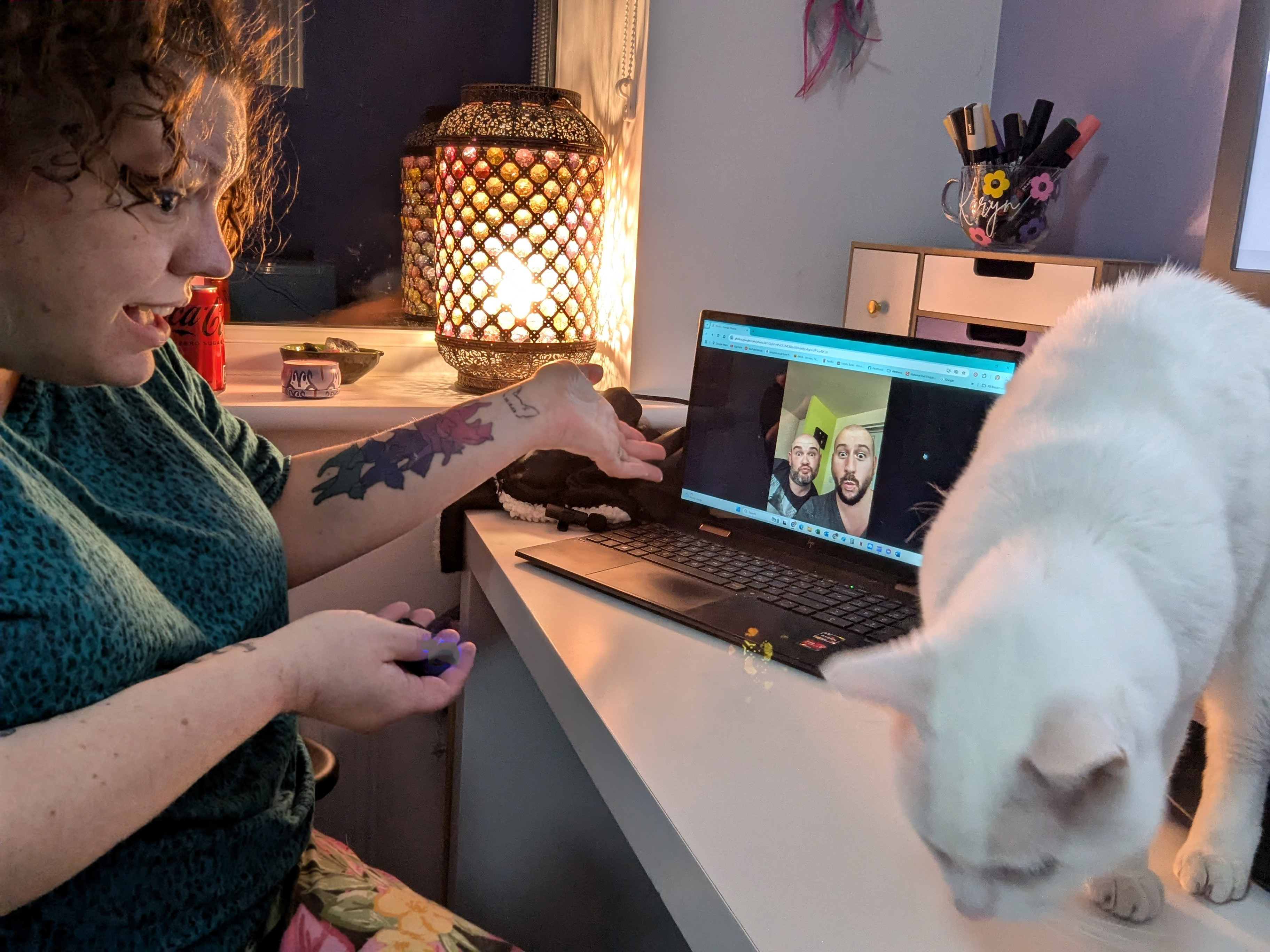 Cats and Video Chats: Why Doesn't Clutch React to the Computer?