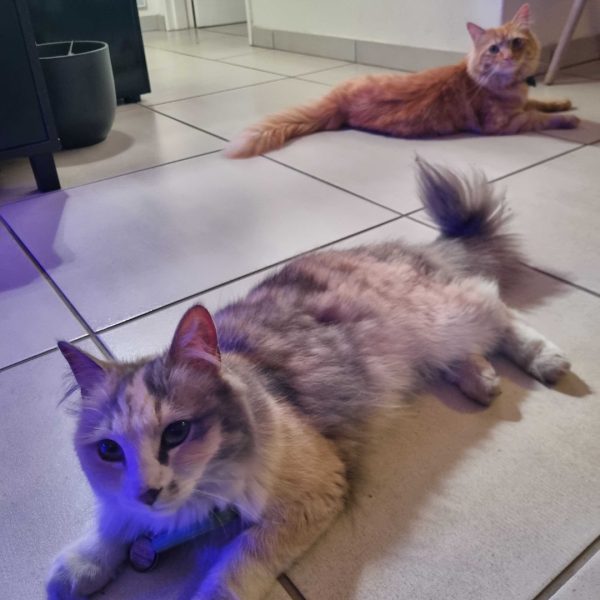 He's behind me, isn't he?