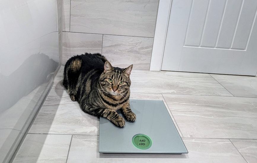 It's Crunch Time, Cyril: A Weight Loss Journey (Part 1)