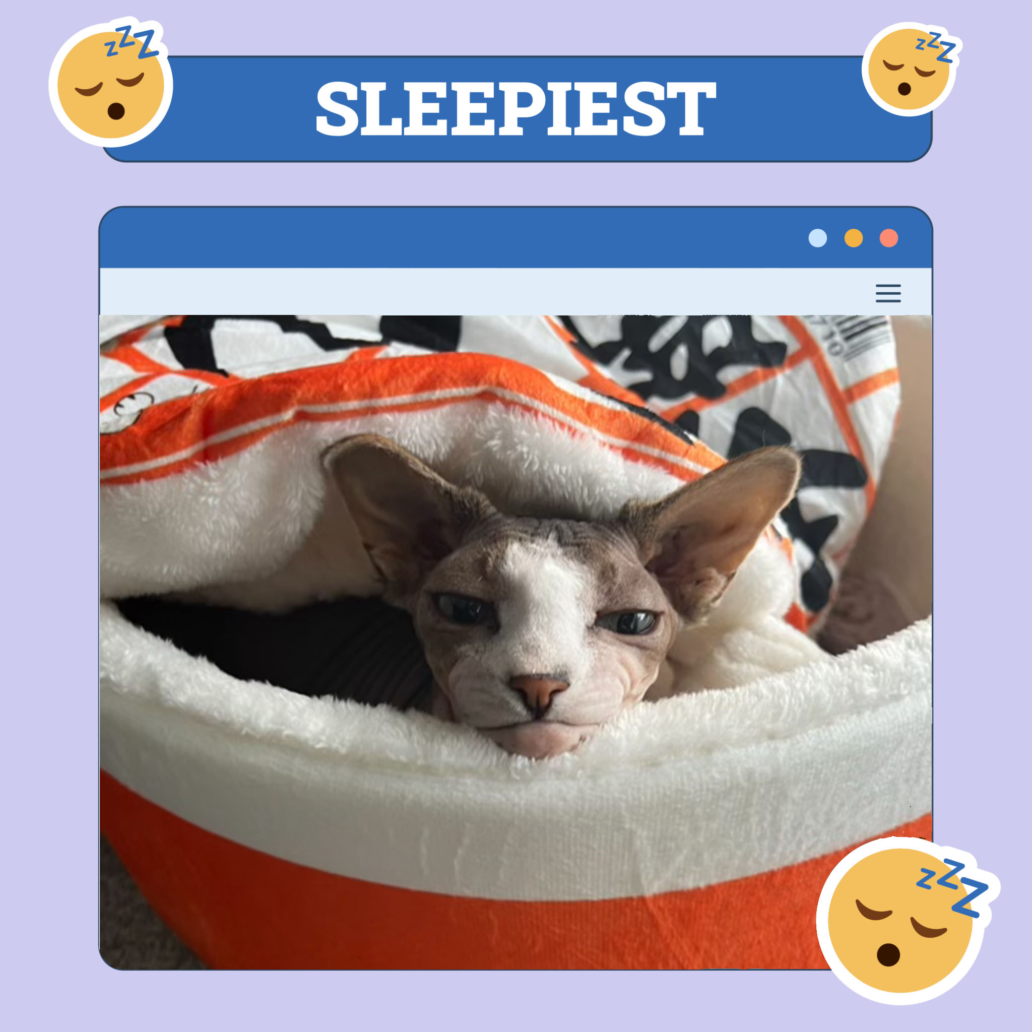 sleepiest roy