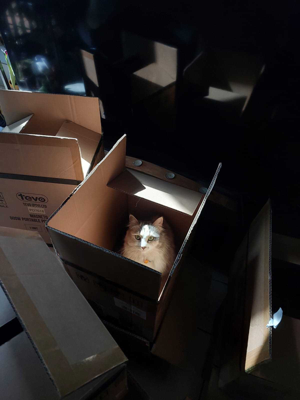 All of these boxes…for me?!