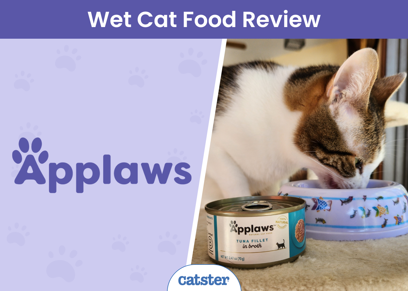 Applaws Limited Ingredient Wet Cat Food Review 2026: How I Supplemented My Cats Diet