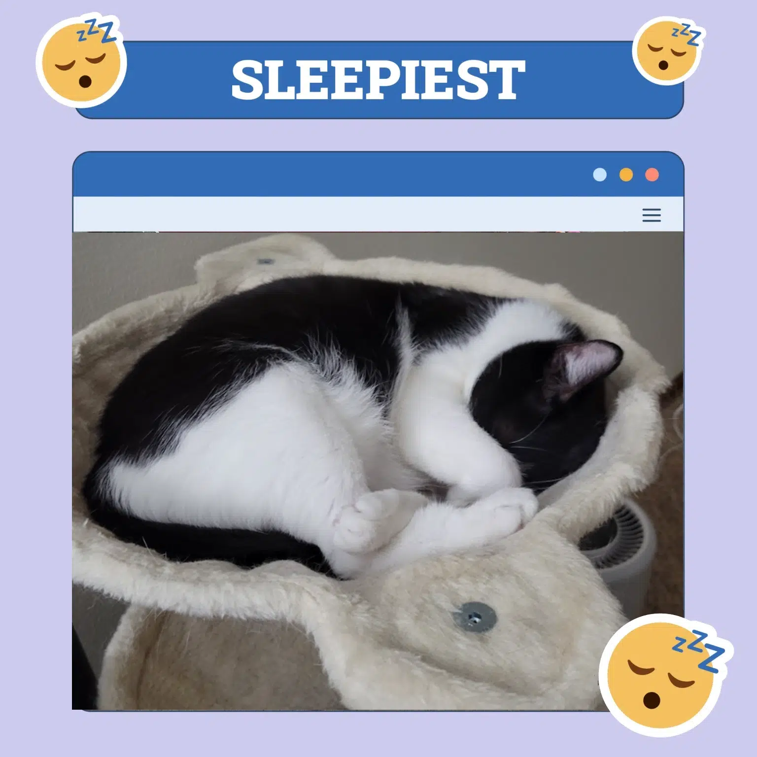 Sleepiest-Madge