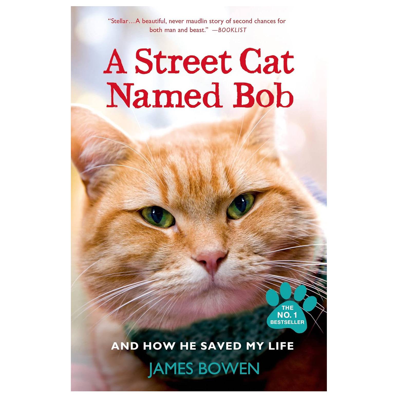 A Street Cat Named Bob