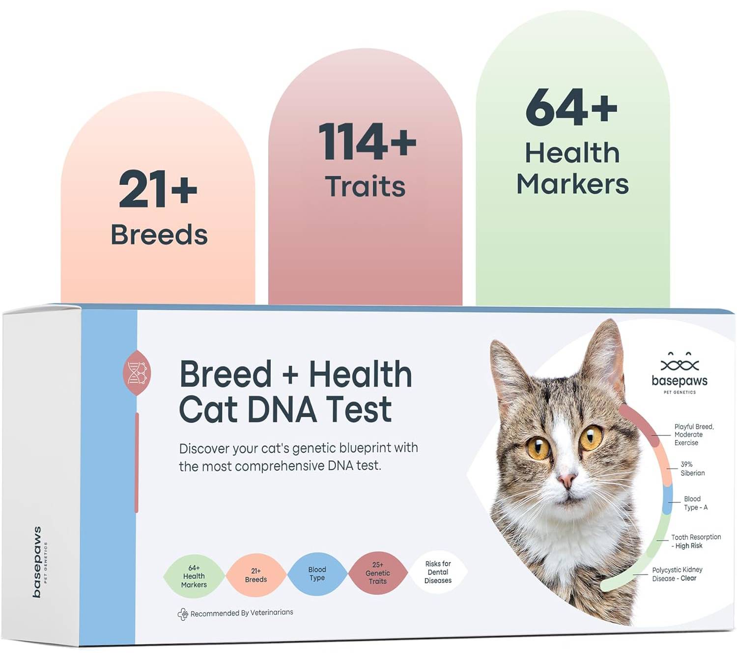 Basepaws Cat DNA Test Kit