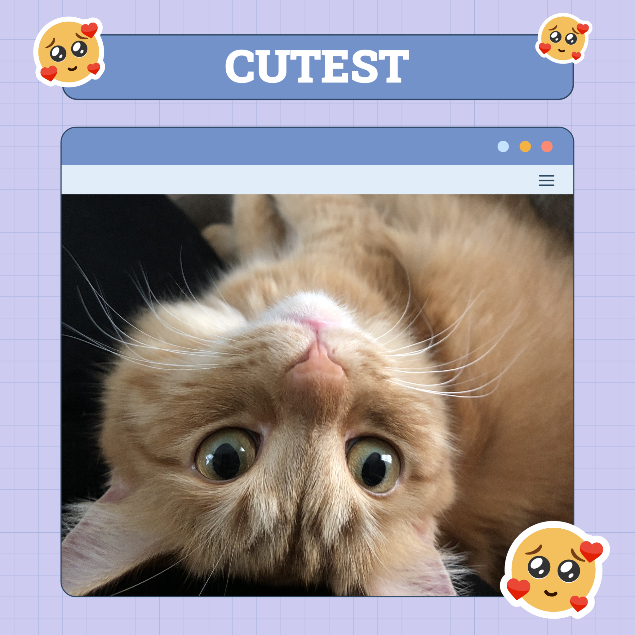 Cutest