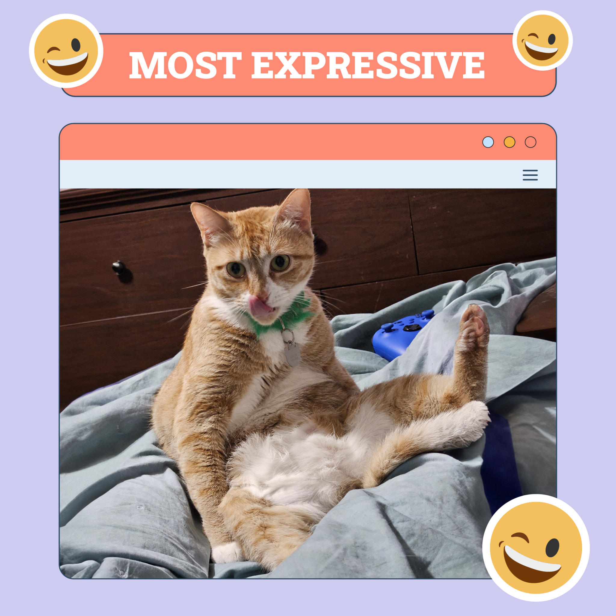 Most Expressive