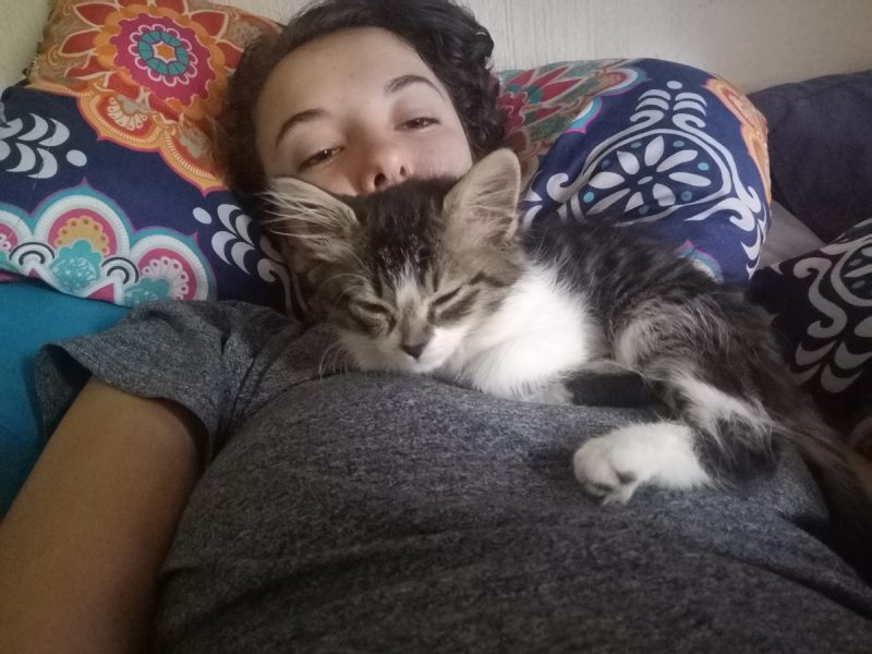Shelby sleeping