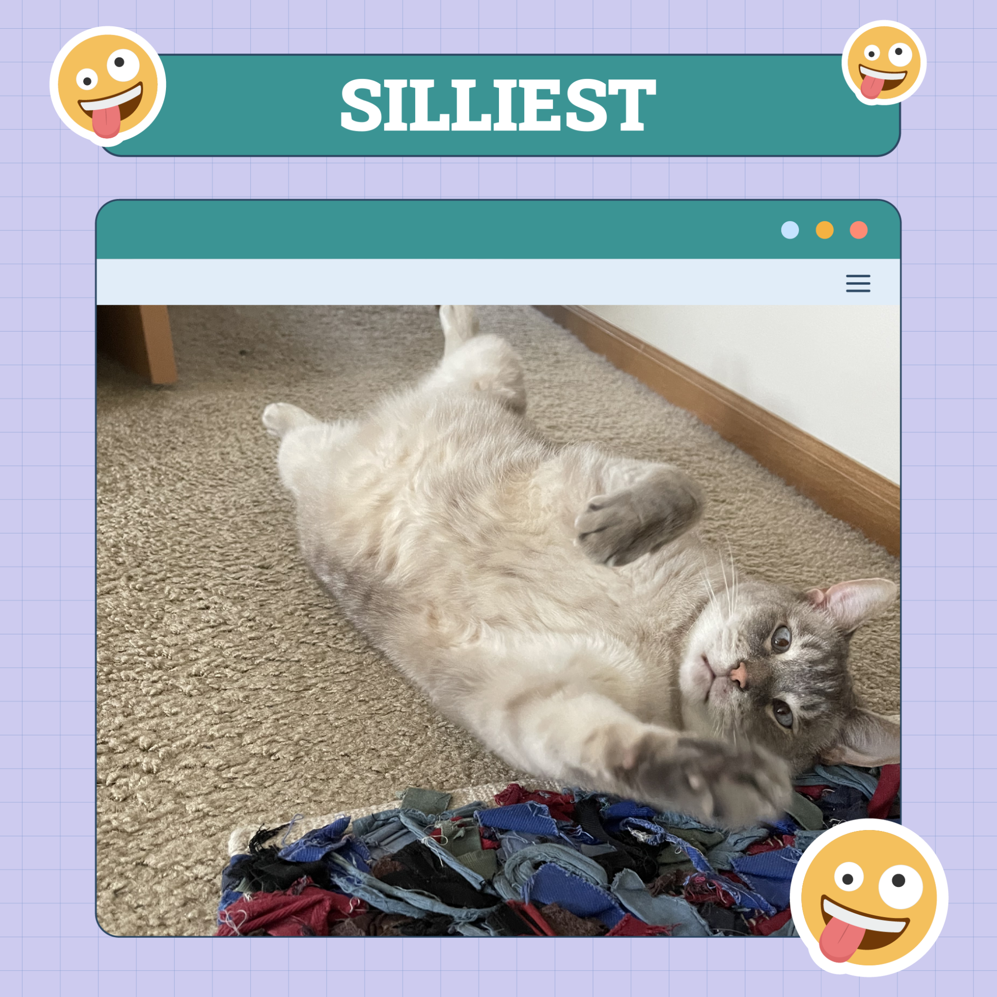 Silliest