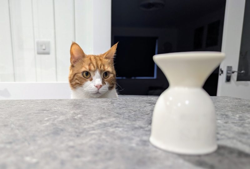 The antici.....pation