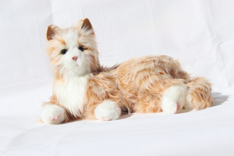 a robotic cat used in elderly care as a sensory cat