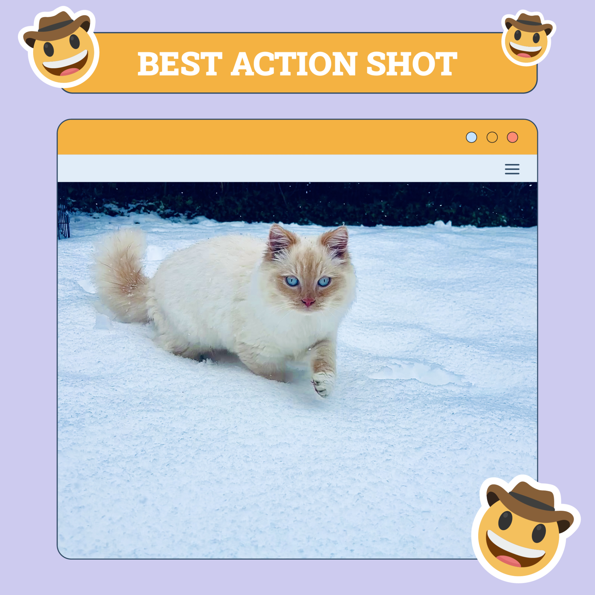 Best Action Shot