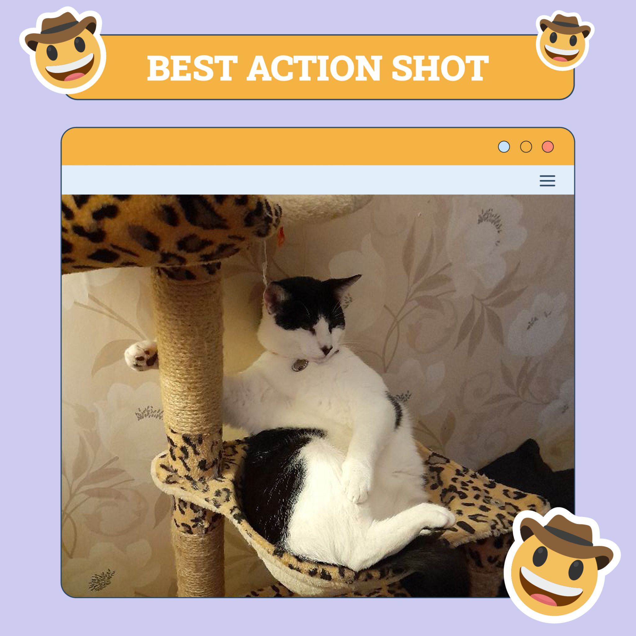 Best Action Shot Cat
