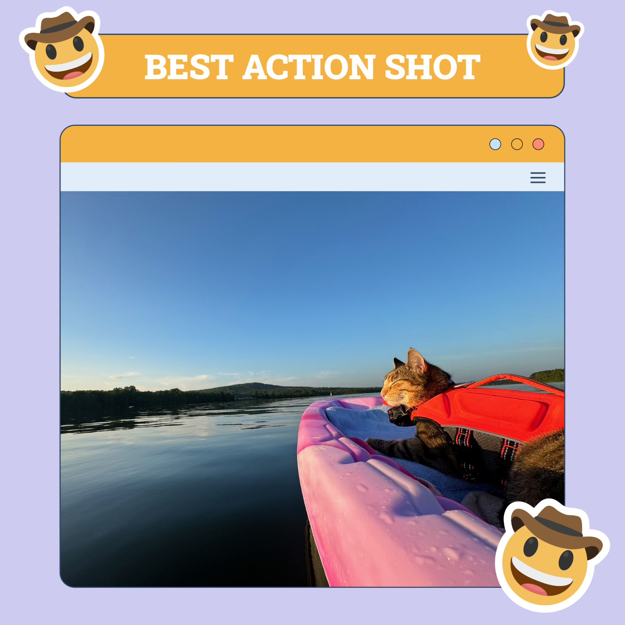 Best Action Shot Cat