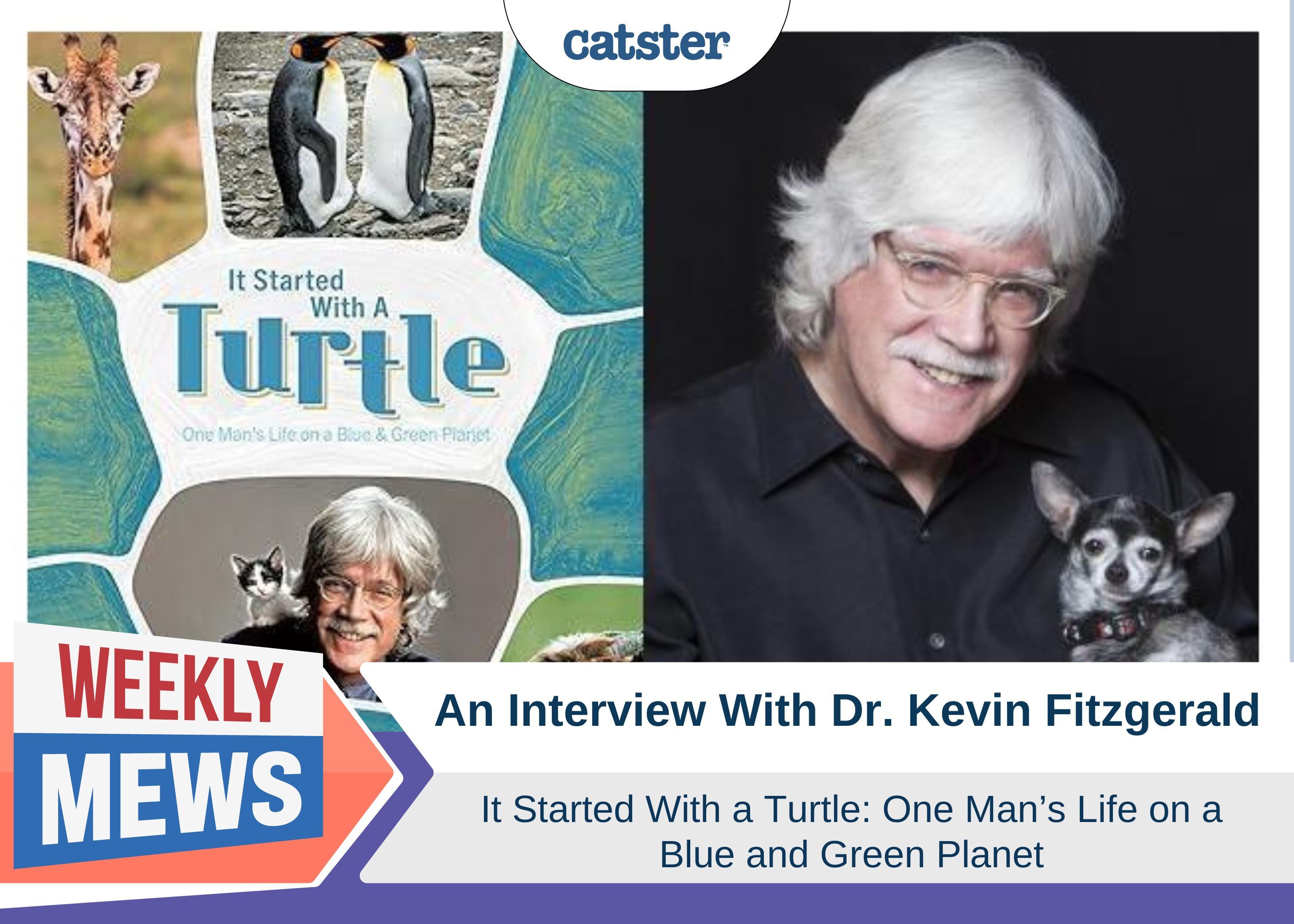 An Interview with Dr Kevin Fitzgerald - "It All Started With A Turtle" (with Video)