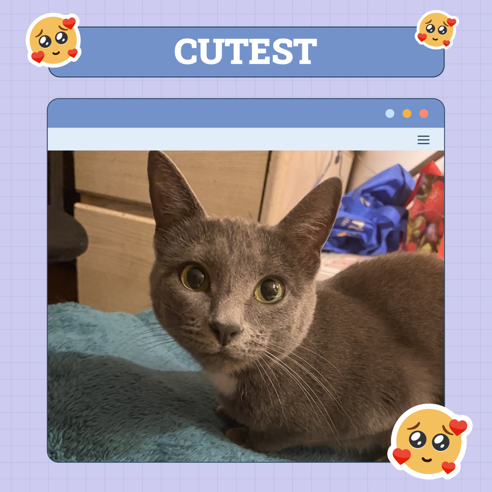 Cutest
