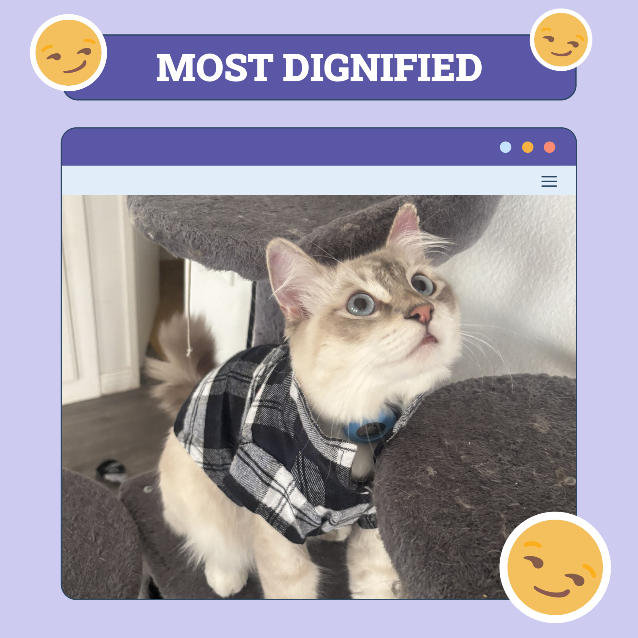 Most Dignified