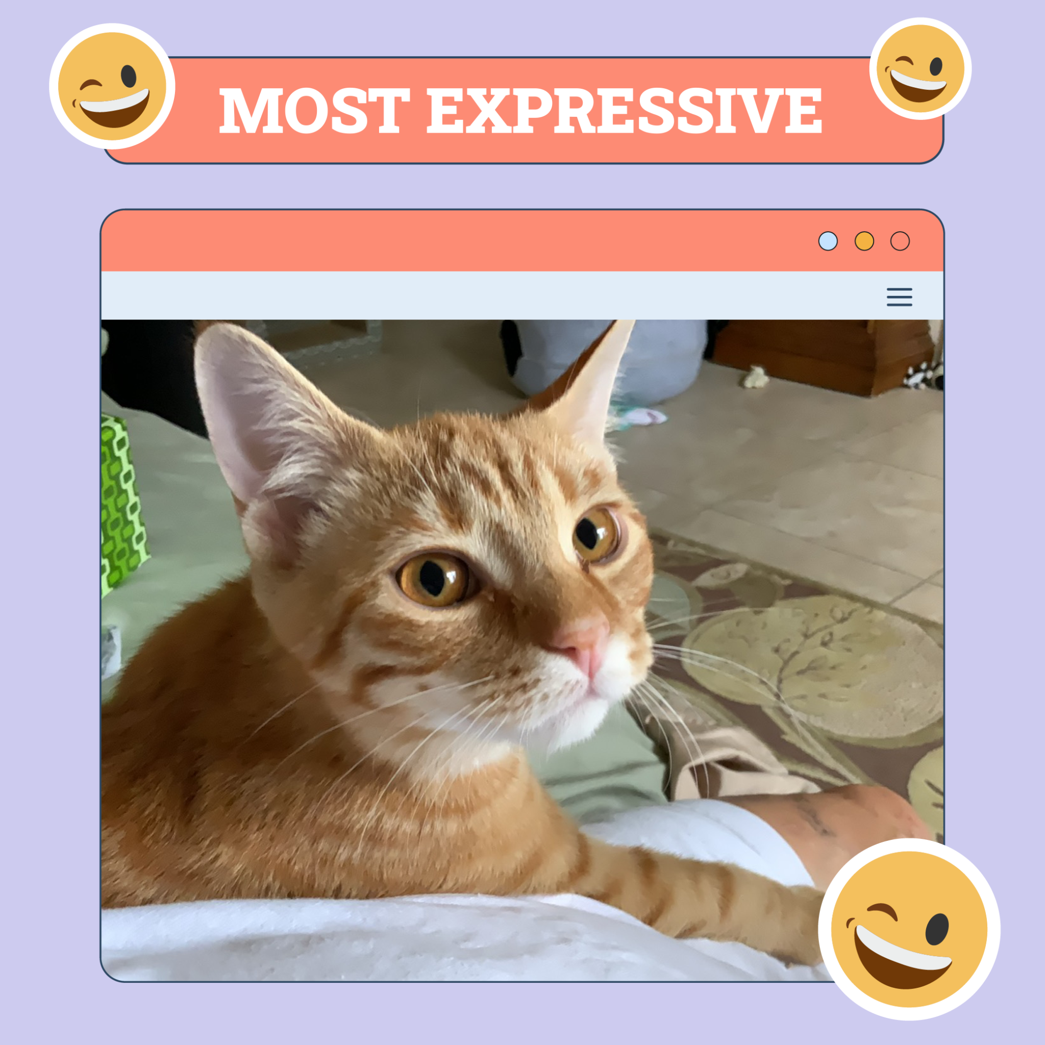Most Expressive