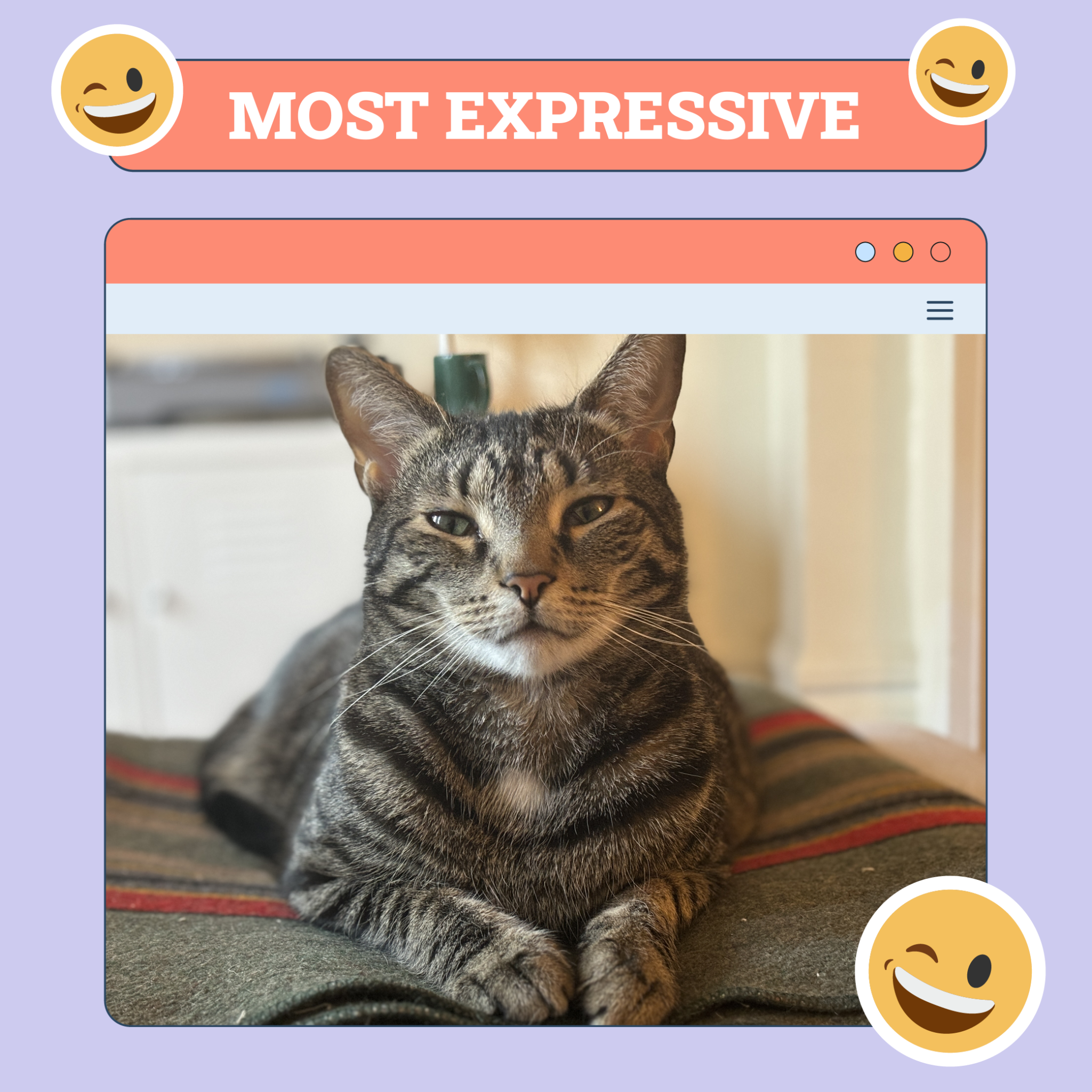 Most Expressive