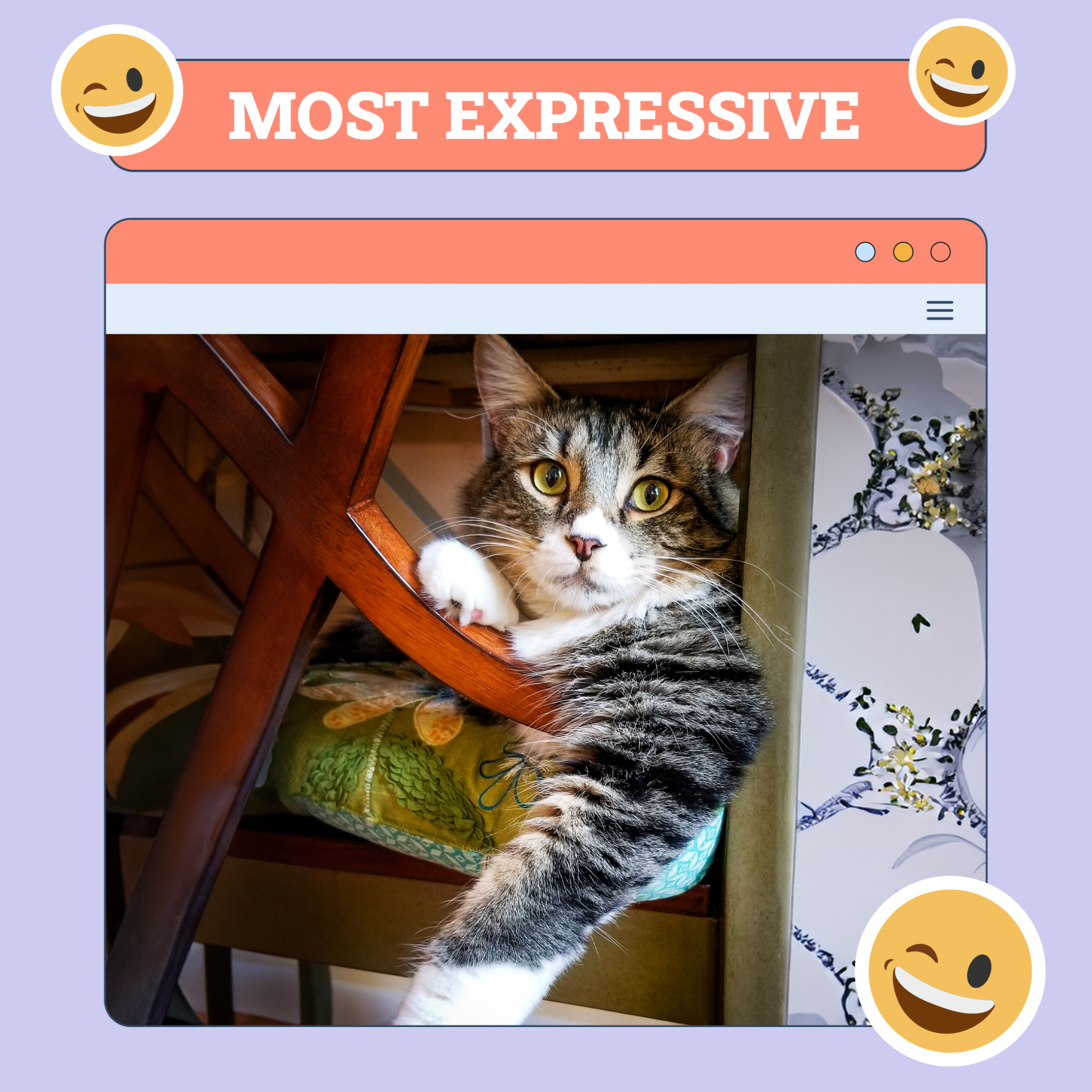 Most Expressive