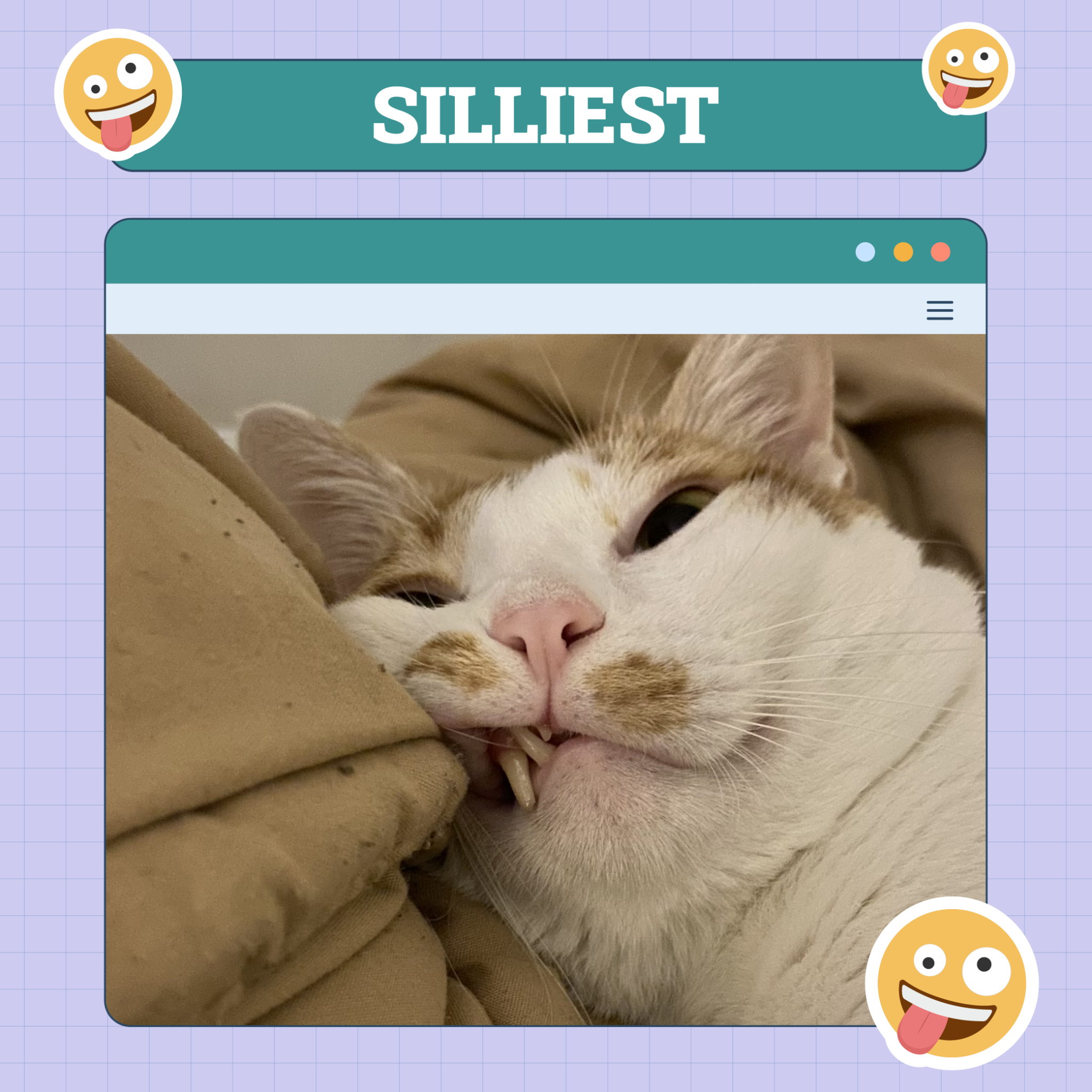 Silliest