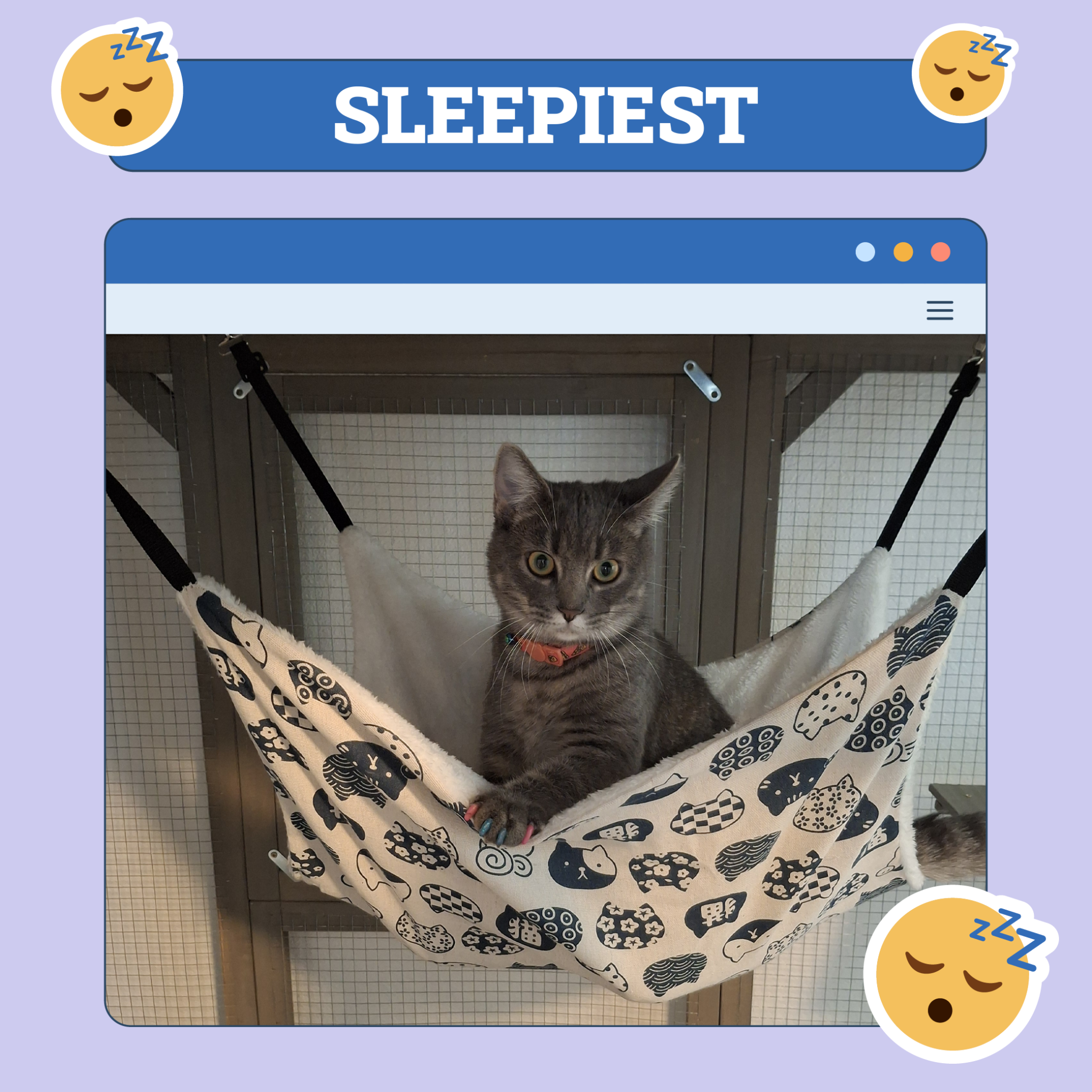 Sleepiest