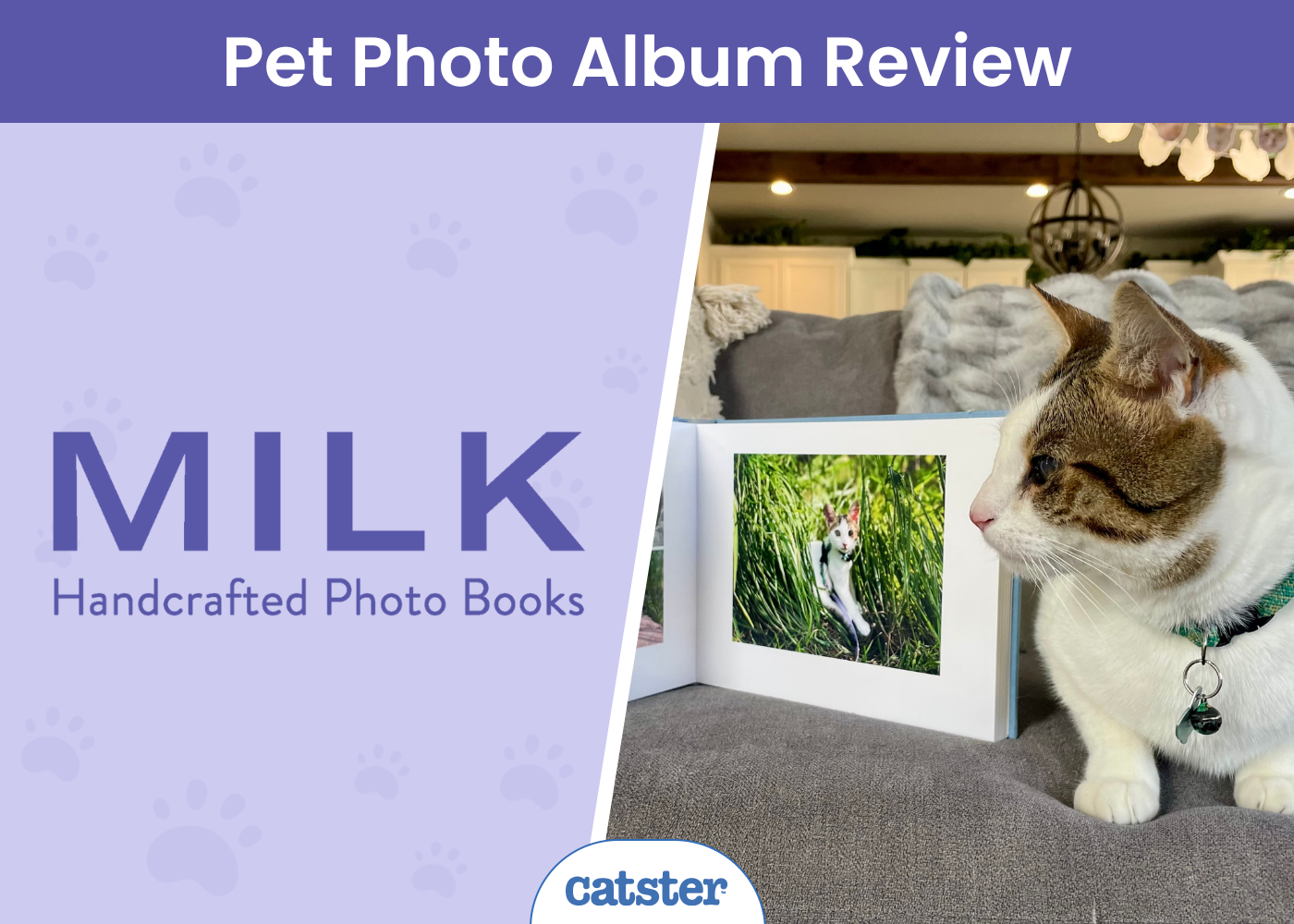 MILK Books Pet Photo Album Review 2026: High-Quality Keepsakes Of Companions