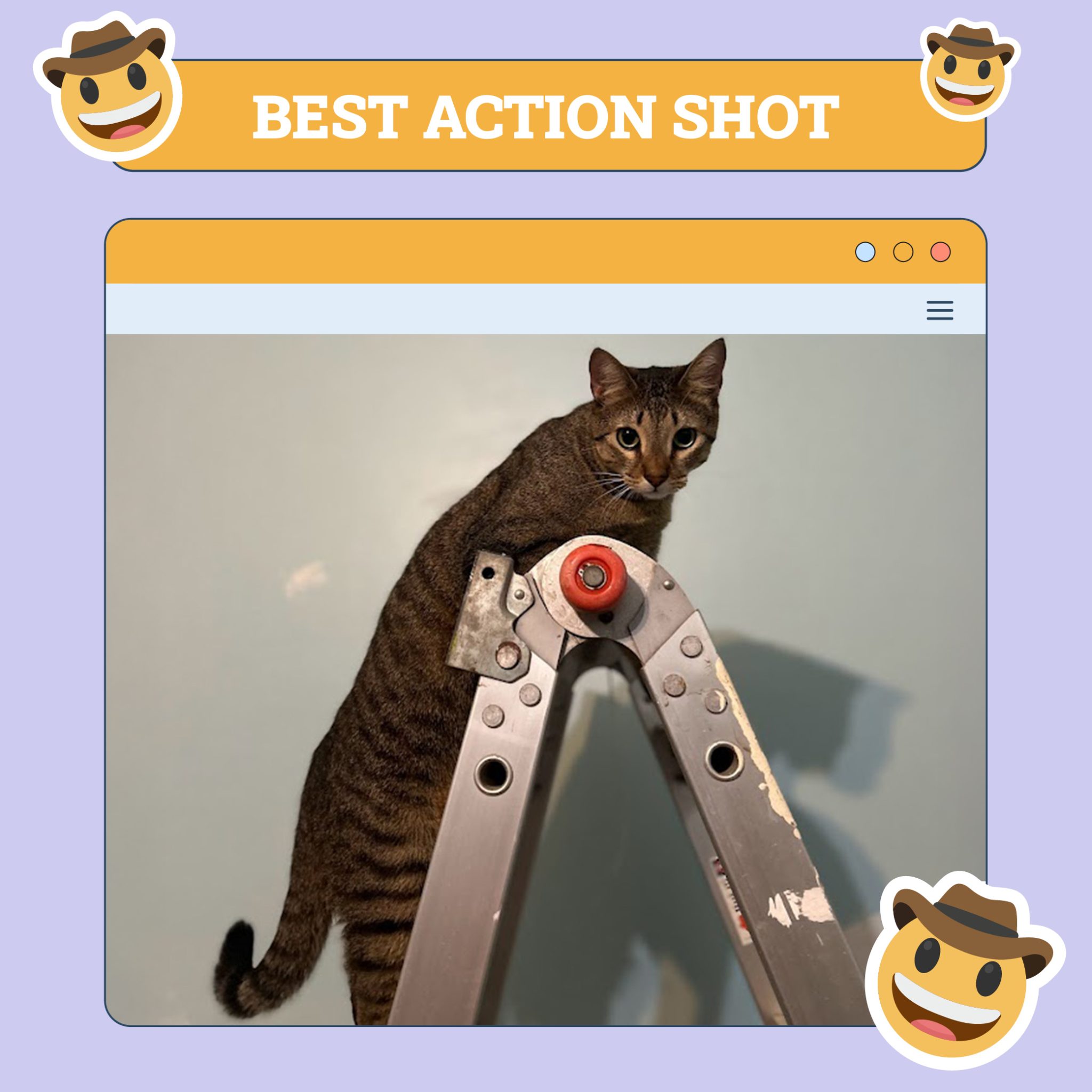 Best action shot june 5
